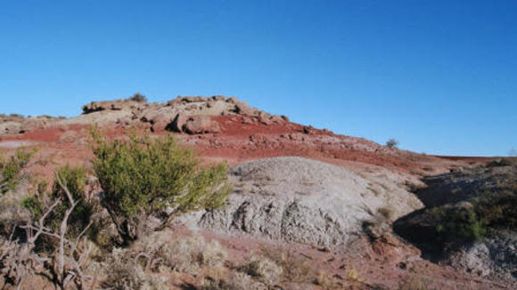 Photo du film Dinosaures: Les géants de la Patagonie
