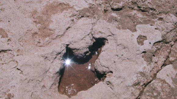 Photo du film Dinosaures: Les géants de la Patagonie