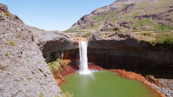 Photo du film Dinosaures: Les géants de la Patagonie