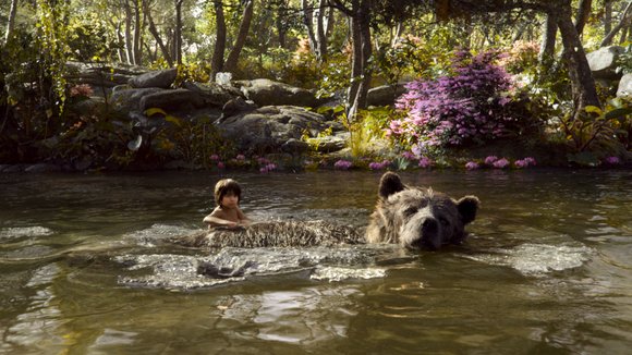 Photo from the movie The Jungle Book