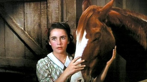 Photo from the movie National Velvet