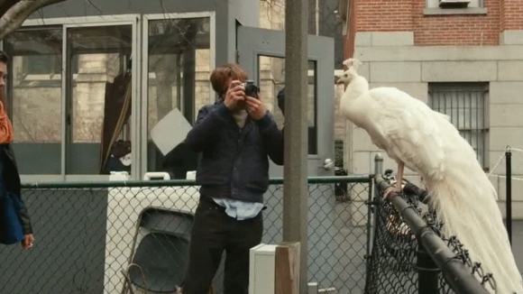 Photo from the movie I Origins