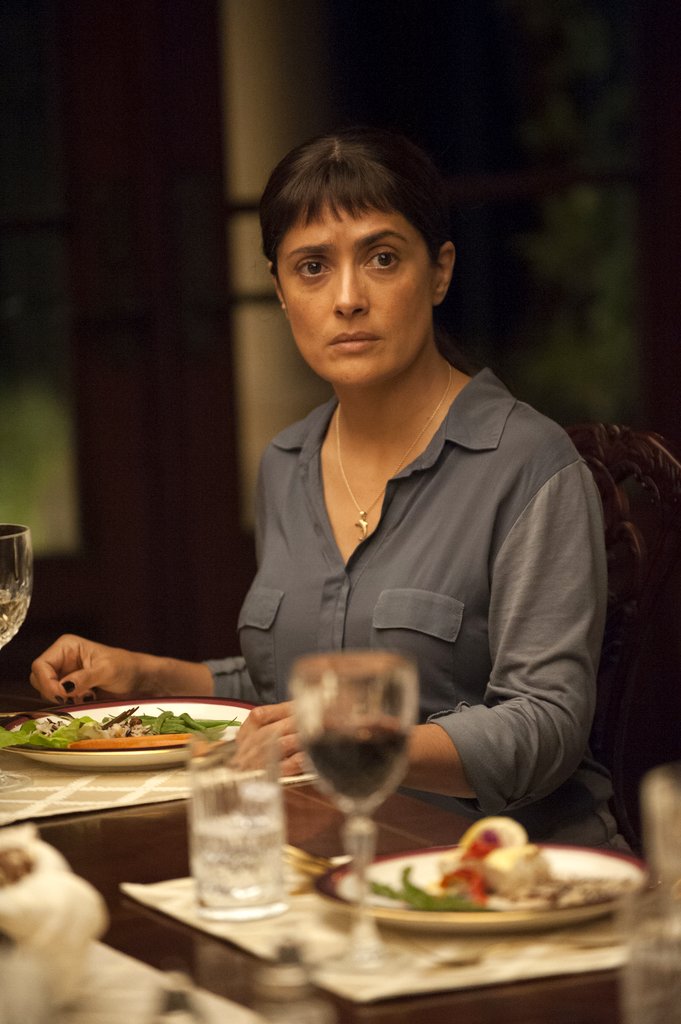 Photo du film Beatriz at Dinner