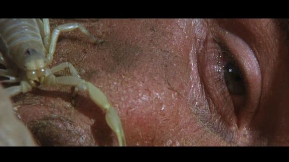 Photo from the movie Capricorn One