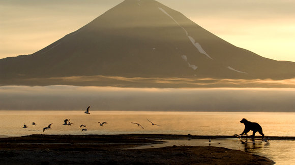 Photo from the movie Terre des ours