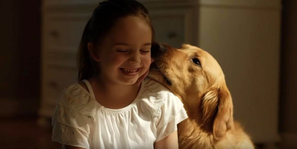 Photo du film L'Art de courir sous la pluie