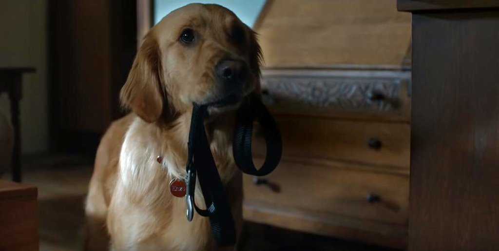 Photo du film L'Art de courir sous la pluie
