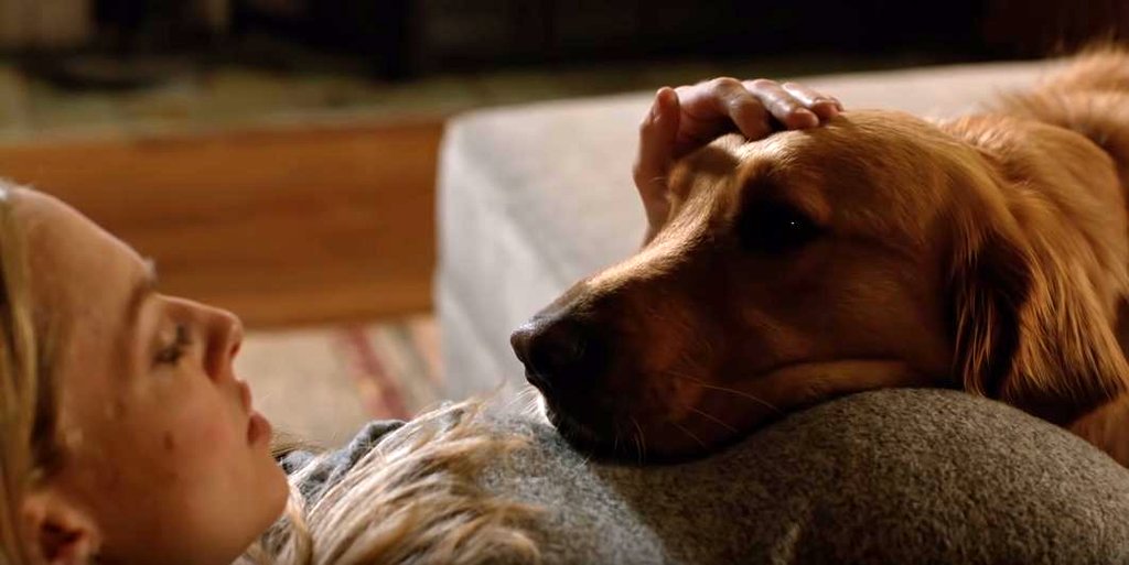 Photo du film L'Art de courir sous la pluie