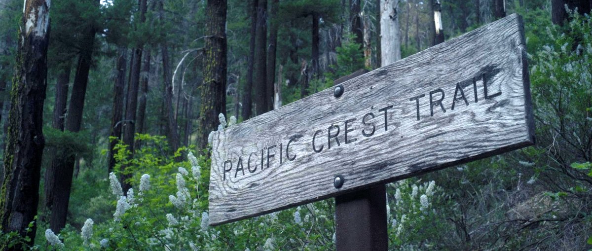 Photo du film To Die Alone [2024]