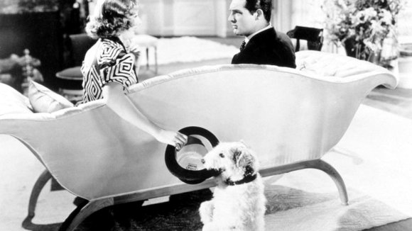 Photo du film The Awful Truth