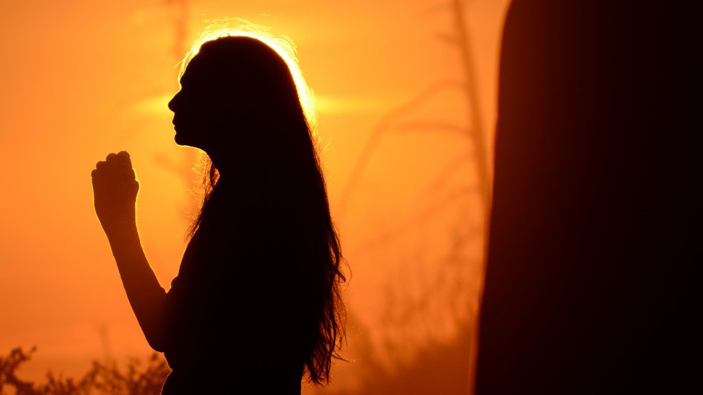 Photo du film Maya Dardel