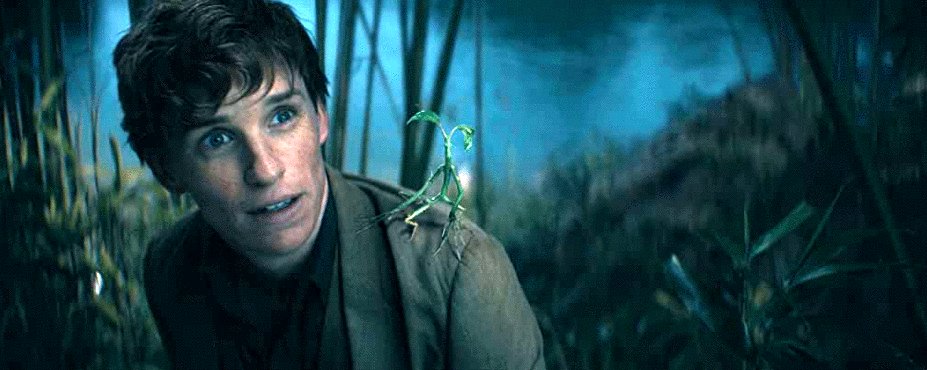 Photo du film Fantastic Beasts: The Secrets of Dumbledore