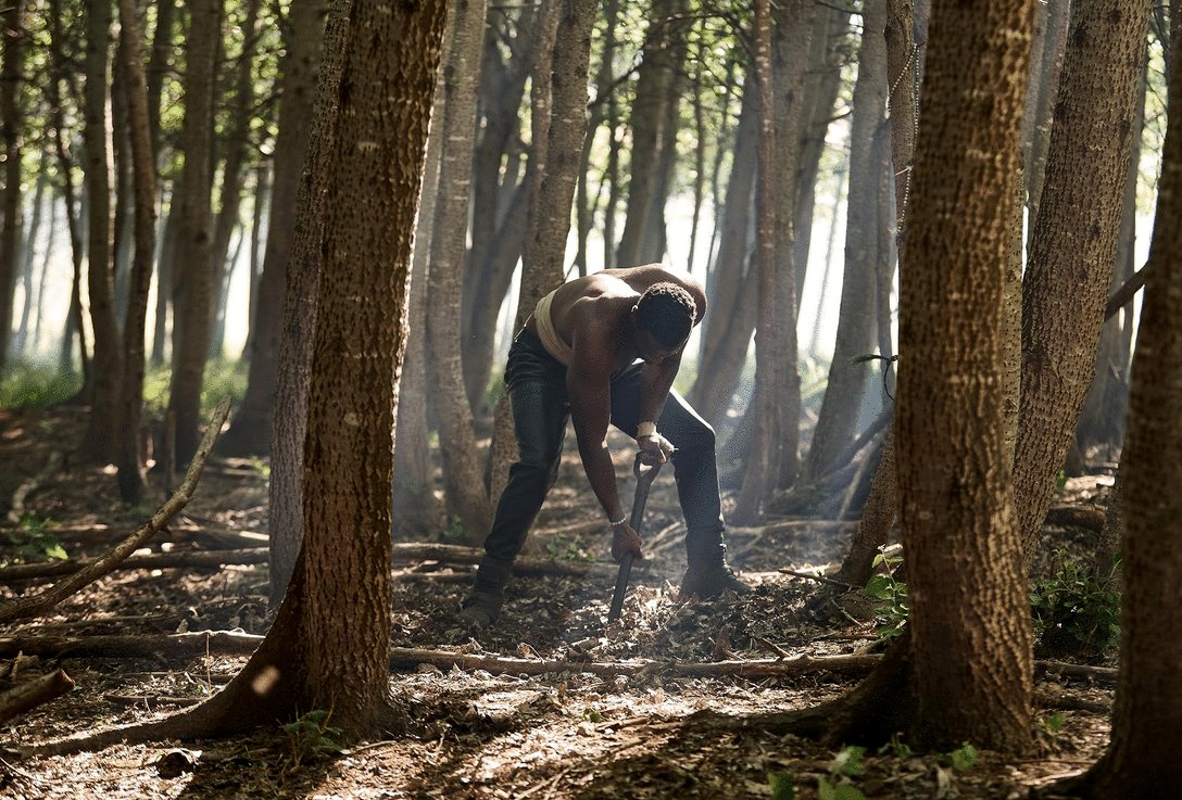 Photo from the movie Heart of the Hunter