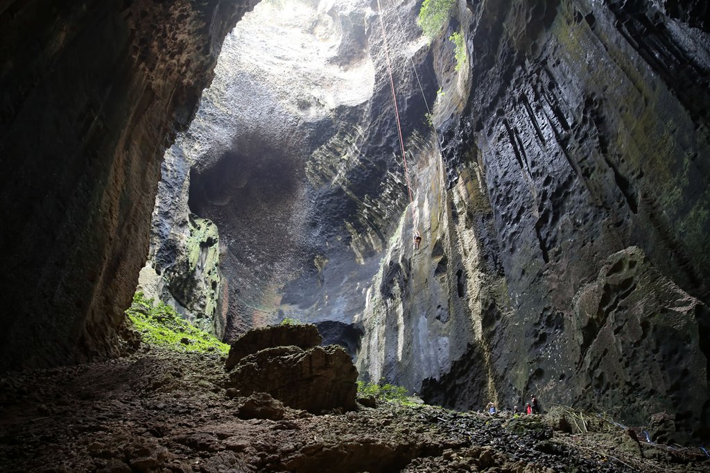 Photo du film Wild Flight: Conquest of the Skies