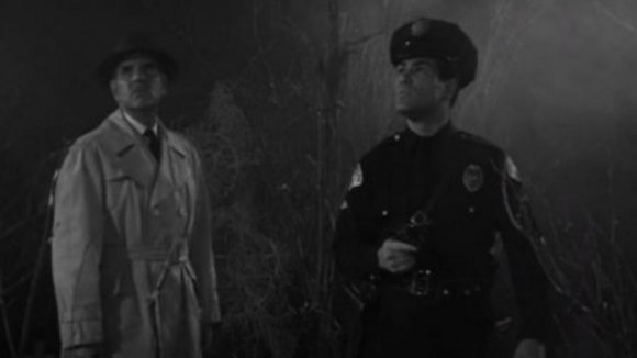 Photo du film Plan 9 From Outer Space