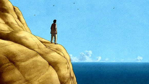 Photo du film La tortue rouge