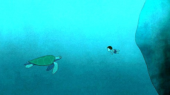 Photo du film La tortue rouge