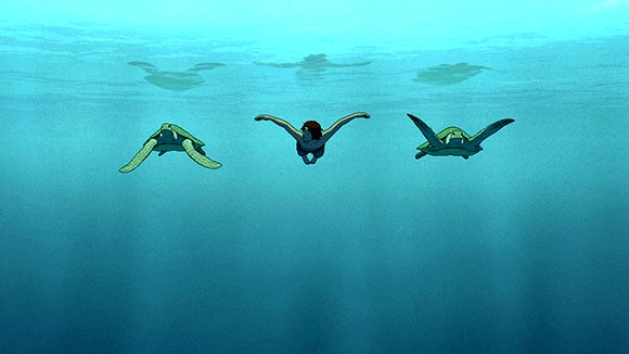 Photo du film La tortue rouge