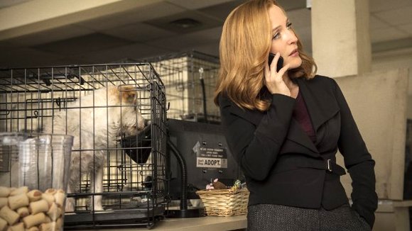 Photo from the movie The X Files