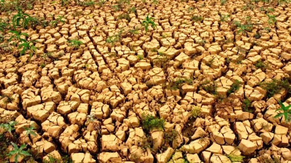 Photo from the movie Time to Choose