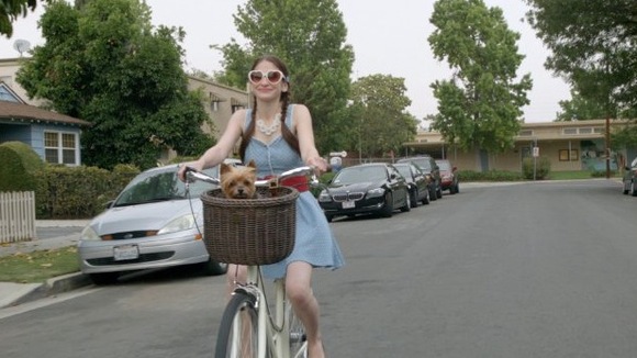 Photo du film Gone Doggy Gone