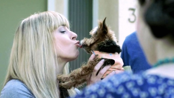 Photo du film Gone Doggy Gone