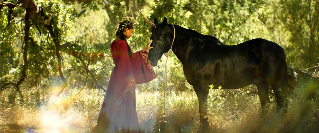 Photo du film Princess of the Row