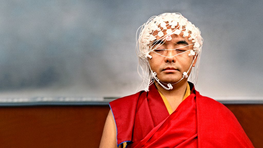 Photo from the movie The Mind, Explained