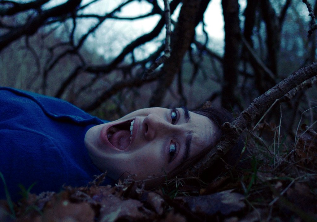 Photo du film The Other Lamb