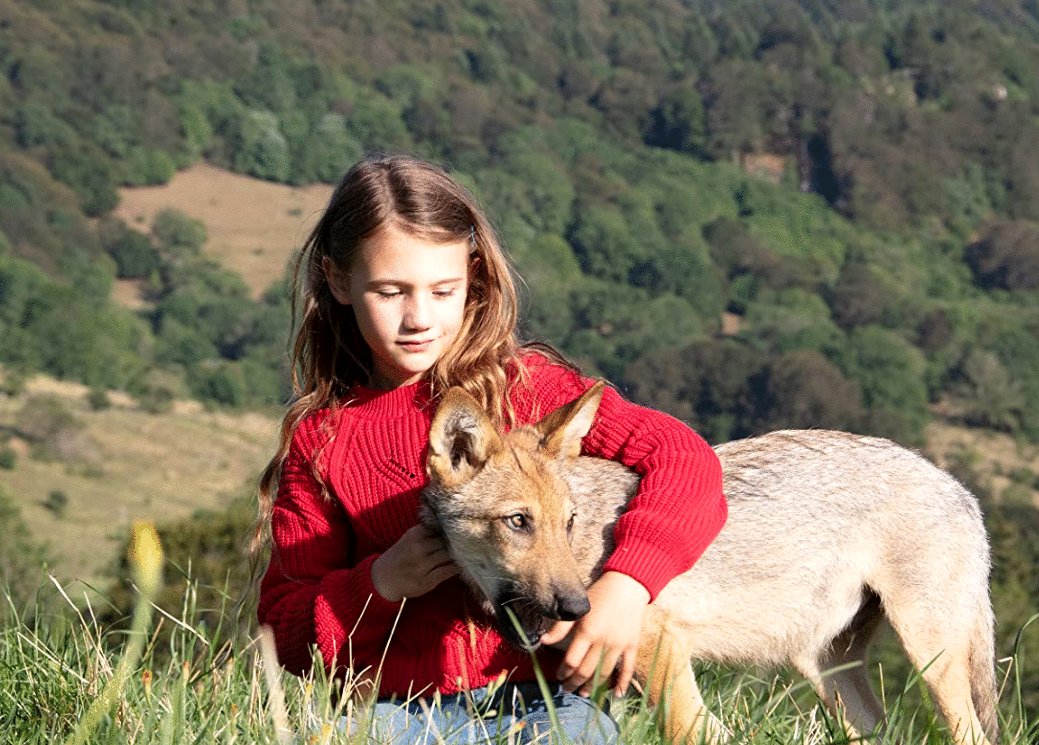 Photo from the movie Mystère