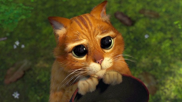 Photo du film Shrek v.f.