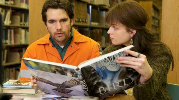 Photo du film A Bird of the Air