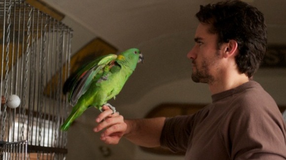 Photo du film A Bird of the Air