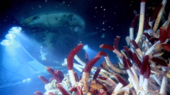 Photo from the movie Deepsea Challenge