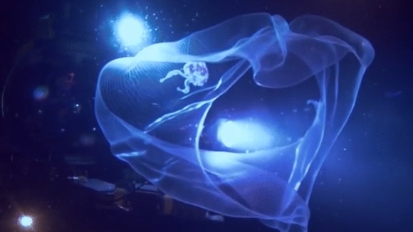 Photo from the movie Deepsea Challenge