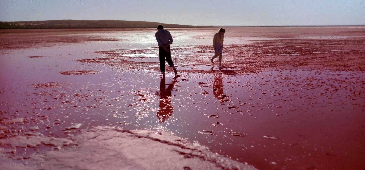 Photo from the movie Foe