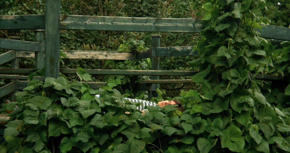 Photo du film Au grand jour