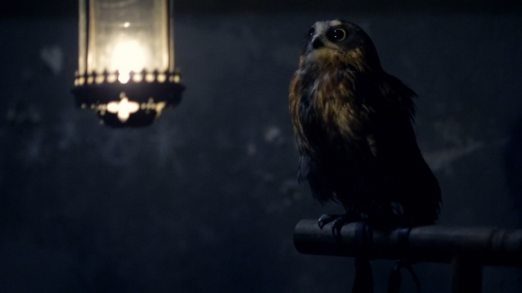 Photo from the movie L'Oeil de l'Astronome