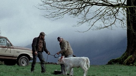 Photo du film A Single Shot