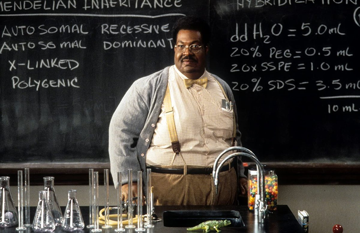 Photo du film The Nutty Professor