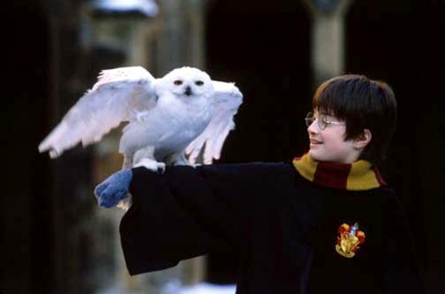 Photo from the movie Harry Potter and the Philosopher's Stone