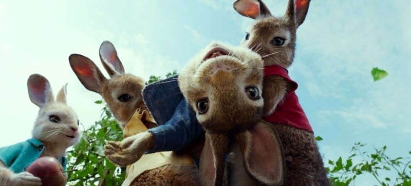 Photo du film Pierre Lapin
