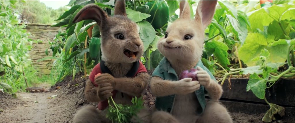 Photo du film Pierre Lapin