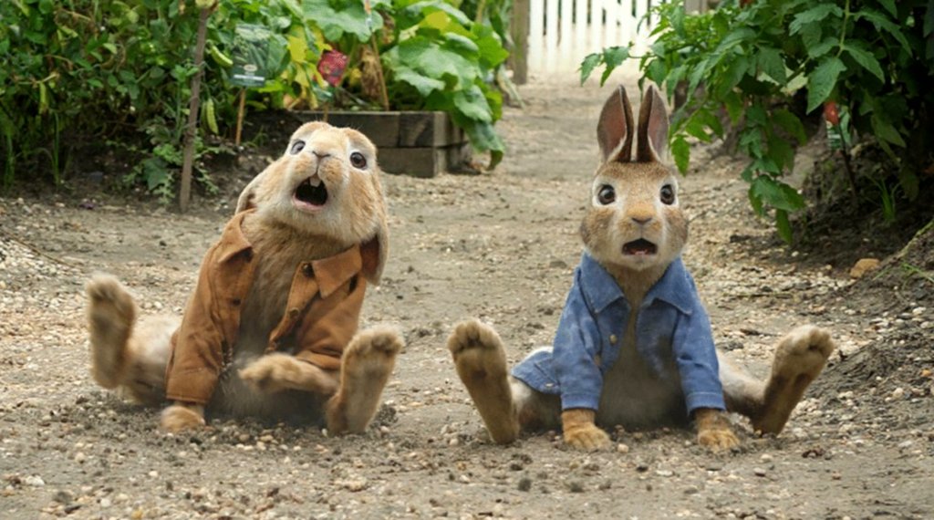 Photo du film Pierre Lapin