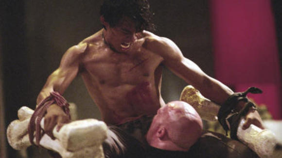 Photo from the movie The Protector