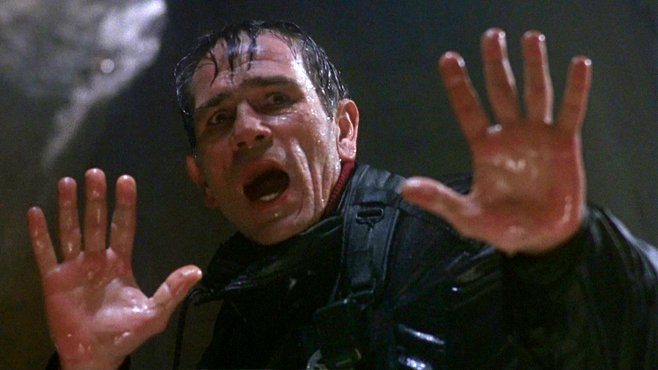 Photo du film The Fugitive