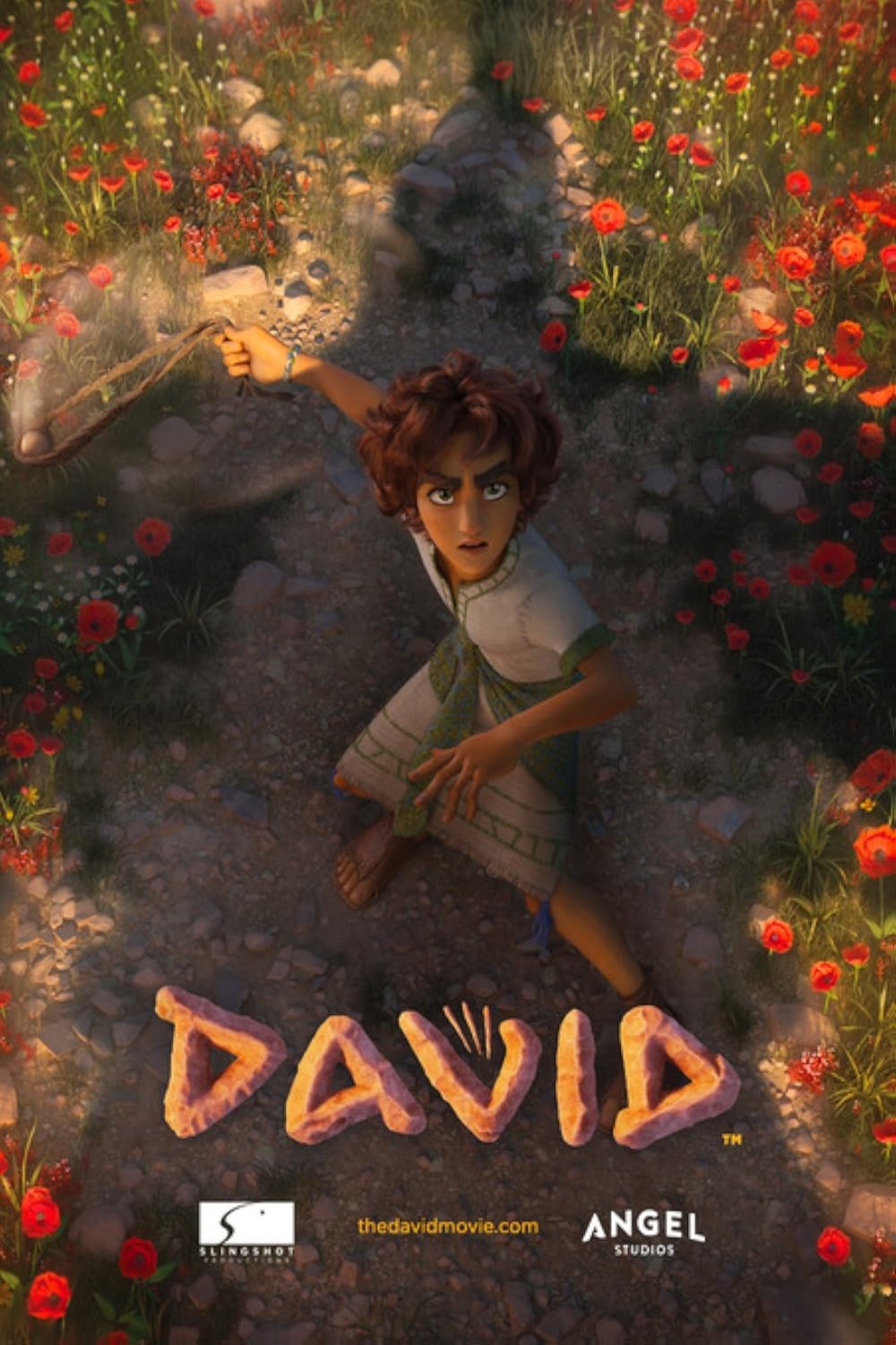 L'affiche du film David