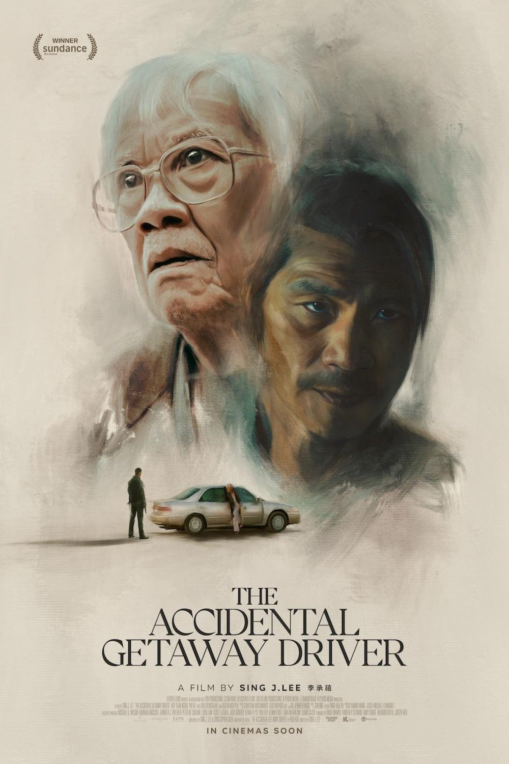 Poster of the movie The Accidental Getaway Driver
