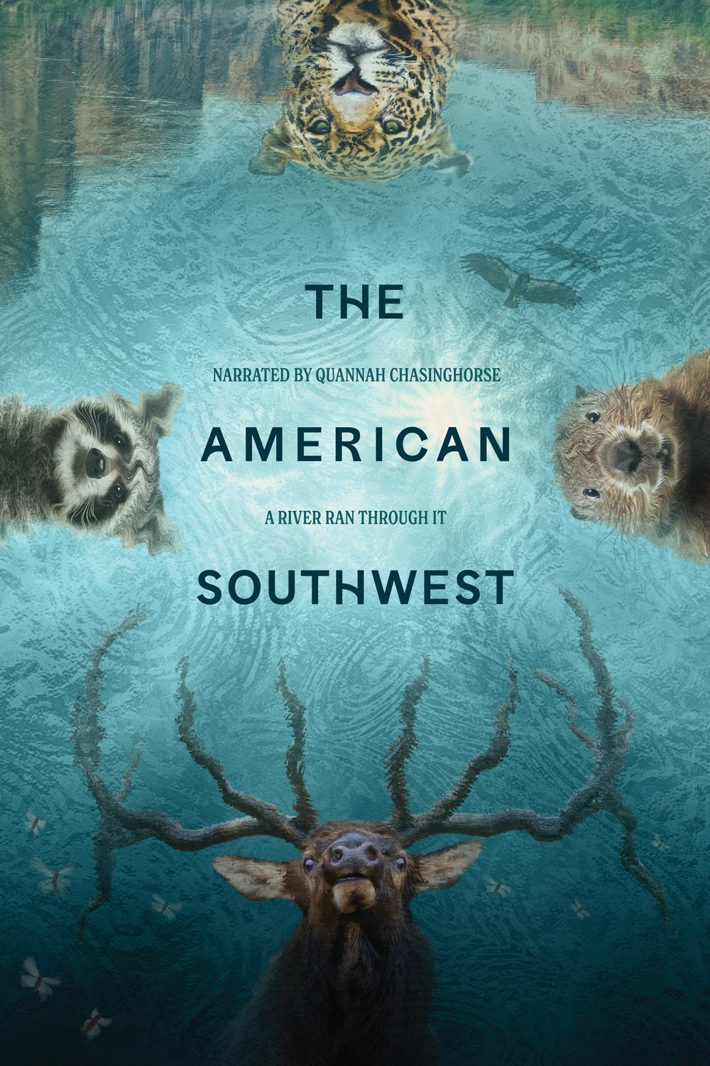 L'affiche du film The American Southwest