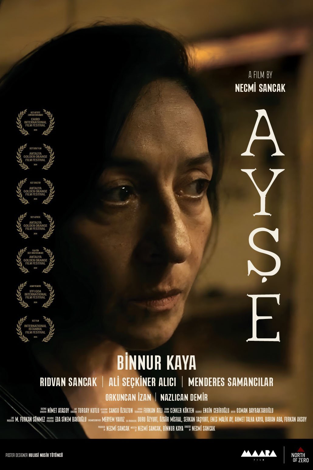 Poster of the movie Ayse